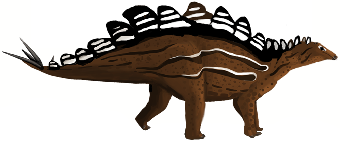 Stegosaurus