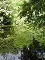 Image 1 Credit: O1ive Brockhill Country Park is dominated by a large grassy valley, bisected by the Brockhill Stream as it makes its way to the Royal Military Canal at Hythe. More about Brockhill Country Park... (from Portal:Kent/Selected pictures)