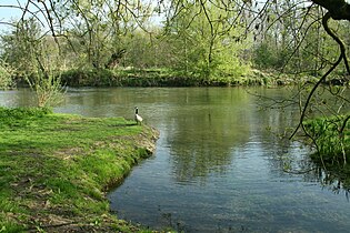 Le Loing à Moret-Loing-et-Orvanne, 100 m après la confluence avec le Lunain (à gauche de l'image).