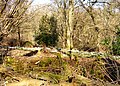 Image 11 Credit: C Hoyle Brockhill Country Park is dominated by a large grassy valley, bisected by the Brockhill Stream as it makes its way to the Royal Military Canal at Hythe. More about Brockhill Country Park... (from Portal:Kent/Selected pictures)