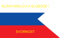 Третий флаг времён восстания 1848—1849 годов