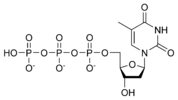 Cấu trúc hóa học của thymidine triphosphate