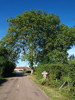 Skyline of Essey