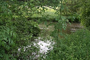 Confluence du Lunain et du Loing à Moret-Loing-et-Orvanne.