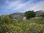 Νάξος (Naxos) la plus grande des Cyclades