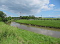 The Olšava River in Uherský Brod-Těšov