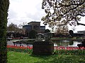 Nymphaea Pond in spring