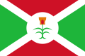 flag white saltire cross on green and red background with plant in centre white rondel