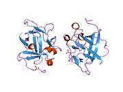 1m16: Human Acidic Fibroblast Growth Factor. 141 Amino Acid Form with Amino Terminal His Tag and Leu 44 Replaced with Phe (L44F), Leu 73 Replaced with Val (L73V), Val 109 Replaced with Leu (V109L) and Cys 117 Replaced with Val (C117V).