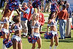 The Tennessee Titans Cheerleaders performing in 2008.