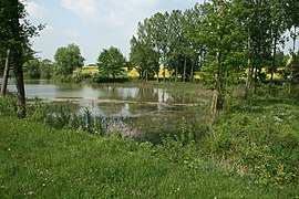 L'étang de Rabotteux, Montacher-Villegardin.