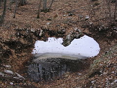 Petite doline au fond de laquelle des argiles permettent l'accumulation d'eau ou de neige, Trieste, Italie.