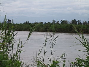 Flodhäst i Ruzizifloden i Burundi