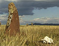 Megalith near village Kazanovka .Hakasya Cumhuriyeti(2000)