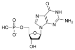 Cấu trúc hóa học của deoxyguanosine monophosphate