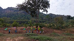 Forest in Kaeng Hang Maeo District