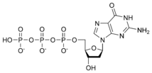 Cấu trúc hóa học của deoxyguanosine triphosphate