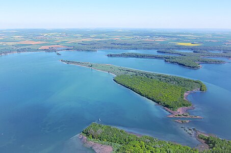 Ile du Bois Gérard pointant vers Madine 1 - Au premier plan : passe franchissable par le gibier - À droite : pétales du Bois de Gargantua.