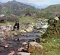 Fotografia a colori proveniente dal lavoro di Sergej Prokudin-Gorskij volto a documentare l'Impero russo dal 1909 al 1915