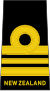 Lieutenant commander