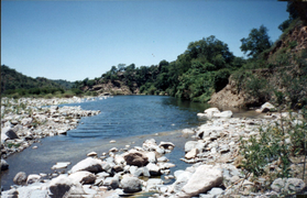 Río Olta, antes del embalse.