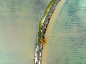 Champs inondés en Bavière, vers Itzgrund. Janvier 2022.