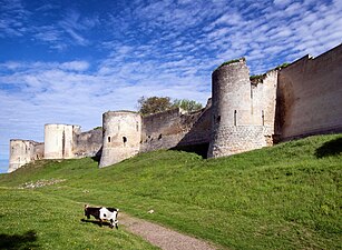 Château de Coucy