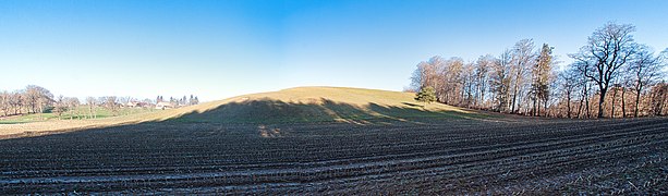 Blick auf die Trockenwiese Montivert