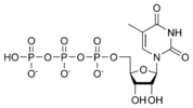 Cấu trúc hóa học của ribothymidine triphosphate