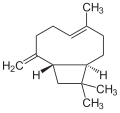 beta-kariofilen (β-Caryophyllene)