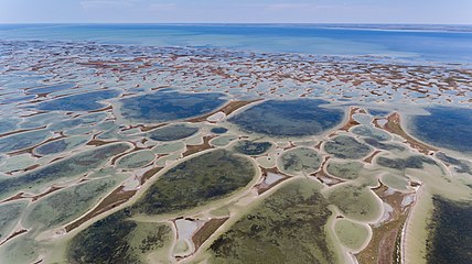 Dzharylhach National Nature Park, Kherson Oblast