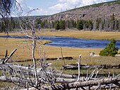 Fountain Flats on The Firehole in September