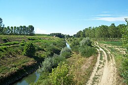 San Zenone al Po – Veduta