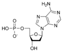 Cấu trúc hóa học của deoxyadenosine monophosphate