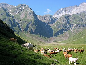 Vue du cirque depuis le haute de la vallée de la Géla.