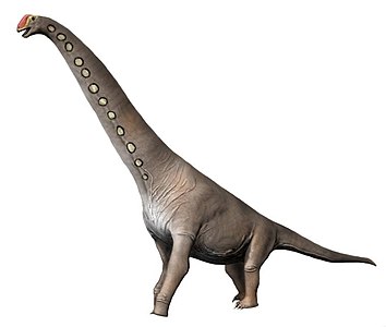 Brachiosaurus