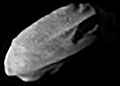 Daphnis (moon of Saturn)