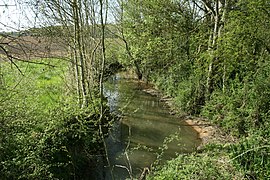 Le Lunain près de La Belliole, Yonne.