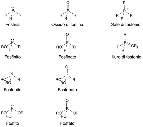 Categorie principali dei composti organofosforici