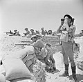 Image 24British infantry near El Alamein, 17 July 1942 (from Egypt)