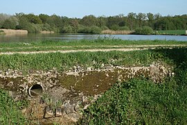 Très proche de la source du Lunain, sur la D 24 entre Courtoin et Égriselles-le-Bocage, au lieu-dit Le Batardeau, Yonne.