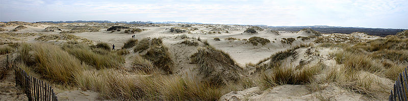 Panorama van de duunn in De Panne