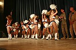 The Denver Broncos Cheerleaders performing in 2006.