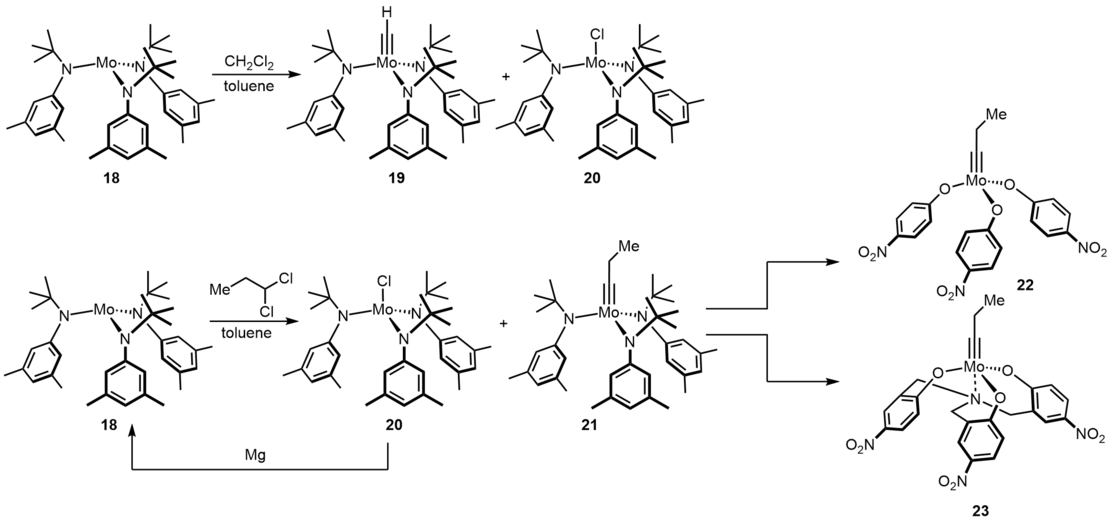 Complex Mo(III)