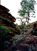 Cañón del Ojo del Lagarto.