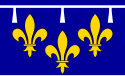 Flag of Orléans