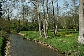 Le Lunain traversant le village de Nanteau-sur-Lunain.