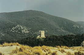 La Torre di Collelungo