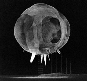 Nuclear detonation from the "Tumbler Snapper" test series showing fireball and "rope tricks"