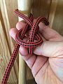 Falconer's knot 4 : End bight slipped through loop around thumb